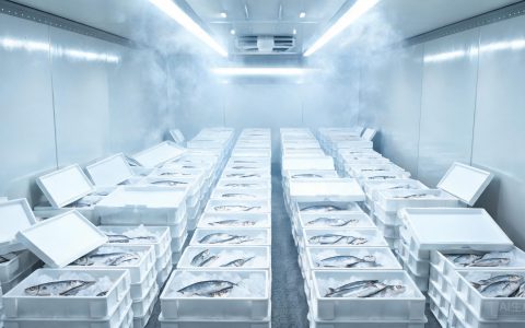 冷链物流2026新趋势，后厨收货要盯住这4个细节！