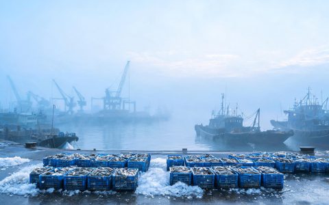 开海后别急着抢！把握3个采购信号