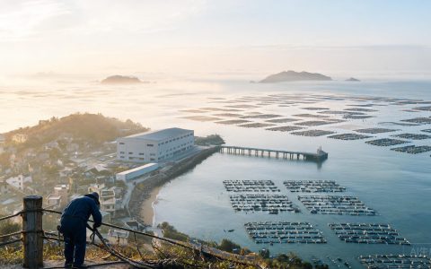 宁德海岛振兴新政出台，水产人该盯哪3件事！