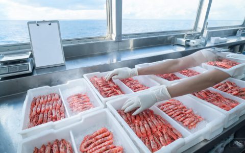 阿根廷红虾本季收官！上岸量超13万吨