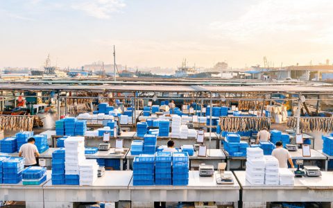 水产品产量同比增4.02%！前5月渔业数据怎么读