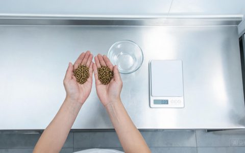 动保饲料抱团！3个变化让后厨拿货更稳