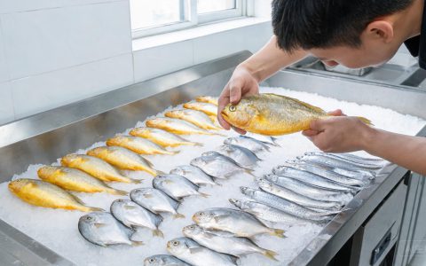 海鲜到货验收！3分钟看色泽闻气味摸弹性