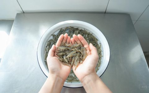 55天看出塘表现！快大系虾苗，养殖端怎么算这笔账
