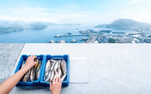 前8月产量4305万吨，释放哪些信号！