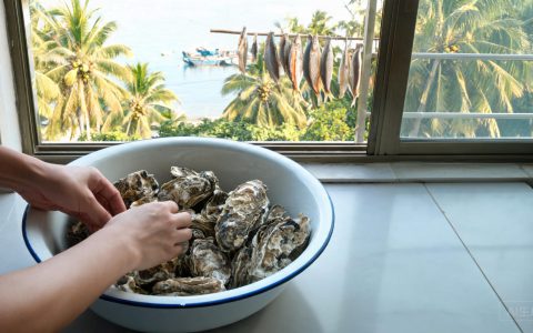 生蚝开壳：1把刀1块冰守住鲜度！