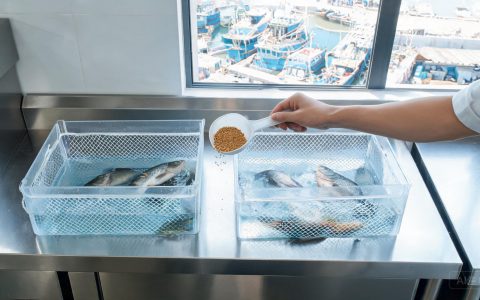 台风压境前，鱼塘防灾清单先过一遍