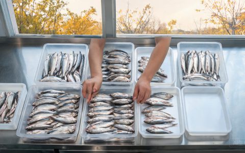 鱼粉越来越贵，替代料不是一换了之