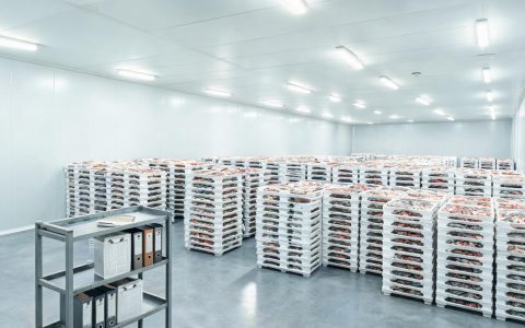 海洋基准报告说进展缓慢，后厨能做点什么