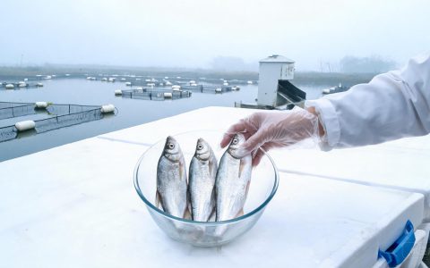 饲料又涨了，2026养殖成本压得动鱼价吗