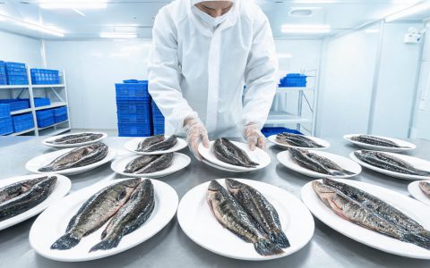 草鱼黑鱼黄鳝，2026年淡水鱼价格三条线