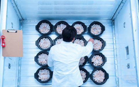 水产品出口东盟，2026年这条通道有多宽