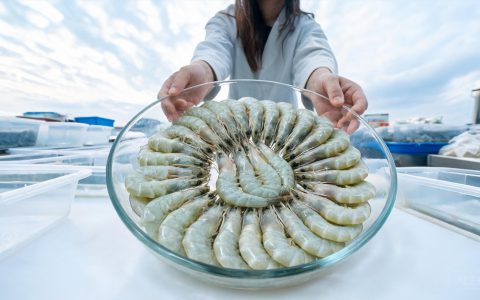 冷空气来袭！虾价要涨的3个前提