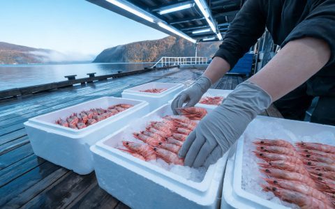 挪威冷水虾出口量降23%、金额增9%！进口虾的价在往哪走