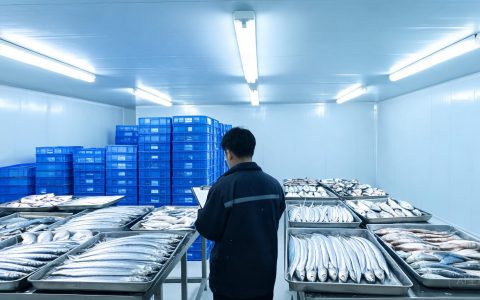 带鱼20到90元一公斤，海捕冰鲜鱼价差拉开，采购挑哪档
