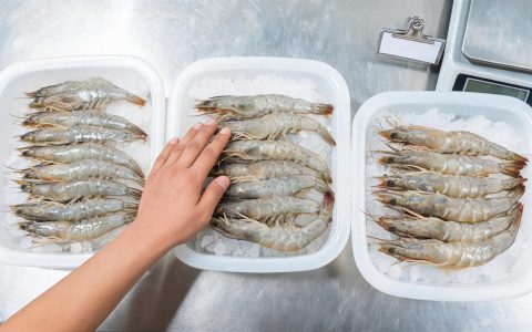 报价单上的规格怎么读：头数、条重与净重