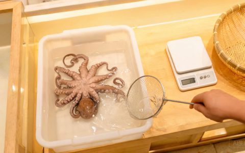 软体货的淡旺季：章鱼的行情窗口在哪