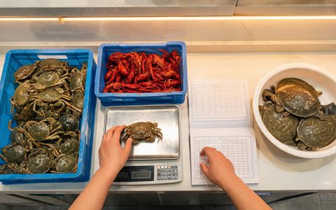 甲鱼、河蟹、龙虾三线并涨，秋末水产采购清单