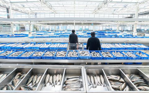 200指数113.98点，水产品只动了3.4%
