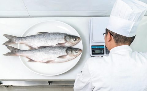 鲢鱼10块5一公斤，低价鱼只在北方走得动