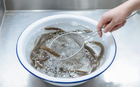 泥鳅28元一公斤，小众活鲜的价格为何这么硬