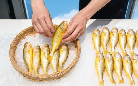 小黄鱼40元一公斤，和大黄鱼差的真不是个头