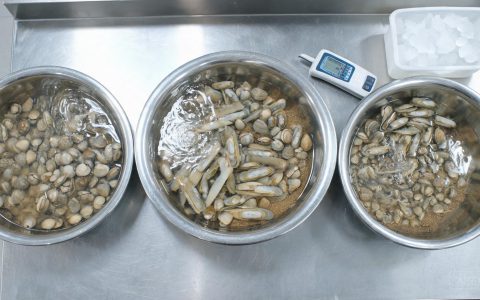 贝类吐沙，水温比时间更要紧