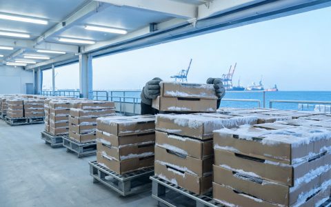 鄂霍次克海捕到八成，冻狭鳕还等不等