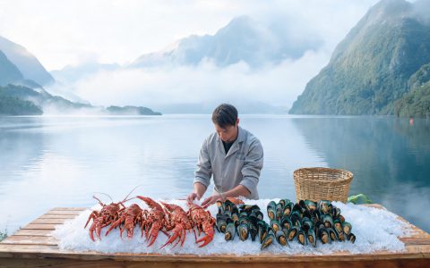 新西兰海产对华回暖，岩龙虾先动