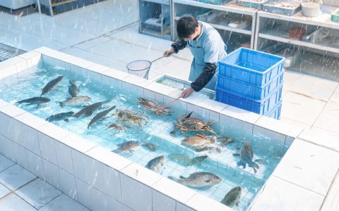 黄沙10月19日到23日：需求还在往下走
