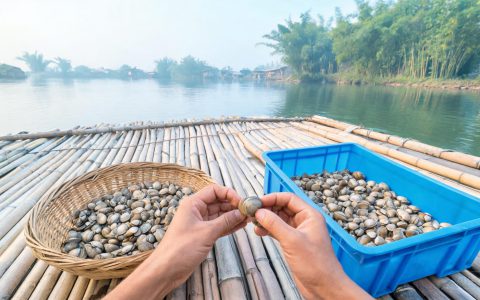 越南蛤蜊厂被收购，蛤蜊货源要走直采了