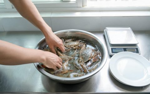 活鲜怎么验收？看摸闻三步走