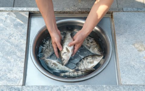 同是鲈鱼，常州28威海46，价差为什么这么大